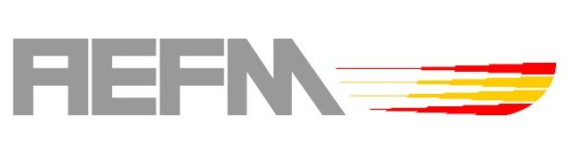 logo AEFM